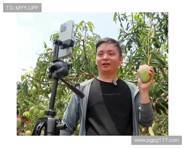 百色卫视高清直播在线观看实时同步